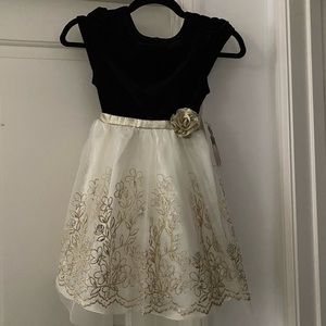 NWT girls velvet and tulle dress